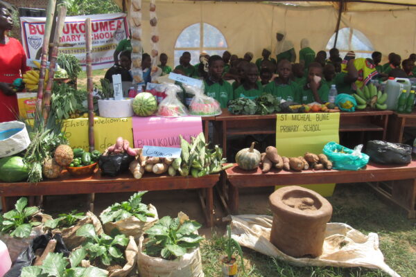 Youth Exhbition on the school's Open Day at Bujuuko Umea Primary School in Mpigi district.