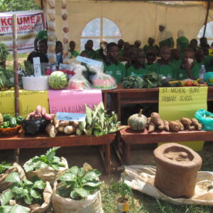 Youth Exhbition on the school's Open Day at Bujuuko Umea Primary School in Mpigi district.