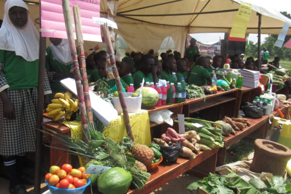 Agroecology and Permaculture Exhibition