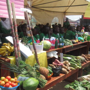 Agroecology and Permaculture Exhibition