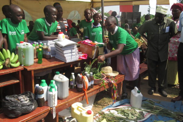 Youth learners explaining how to make natural fertilizers from indigenous plants