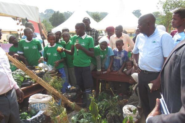 Agroecology and permaculture in schools