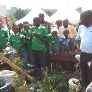 Agroecology and permaculture in schools